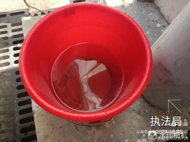 海南鸿霖生物科技2024年10月5日临高县临城镇病媒生物防制工作纪实