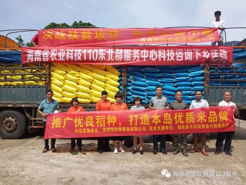 海南省农业科学院粮食作物研究所所长王效宁调研海南农业科技发展